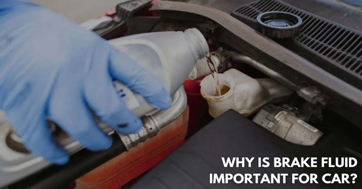 The Importance of Regular Brake Fluid Maintenance for Vehicle Safety