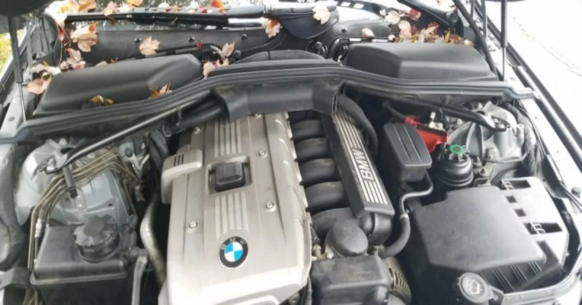 brake fluid change cost bmw 5 series